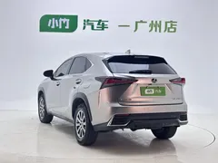 2020 Lexus NX 200 2WD Fengxing China VI — фото 4