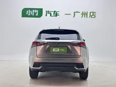 2020 Lexus NX 200 2WD Fengxing China VI — фото 5