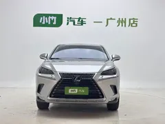 2020 Lexus NX 200 2WD Fengxing China VI — фото 6