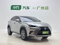 2020 Lexus NX 200 2WD Fengxing China VI — фото 7