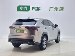 2020 Lexus NX 200 2WD Fengxing China VI — фото 8