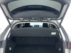 2020 Lexus NX 200 2WD Fengxing China VI — фото 10