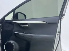 2020 Lexus NX 200 2WD Fengxing China VI — фото 12
