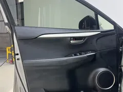 2020 Lexus NX 200 2WD Fengxing China VI — фото 19