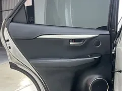 2020 Lexus NX 200 2WD Fengxing China VI — фото 21