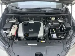 2020 Lexus NX 200 2WD Fengxing China VI — фото 29