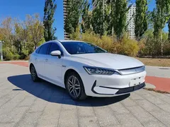 2024 BYD Qin PLUS Honor EV 510km Leading, белый — фото 3