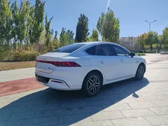 2024 BYD Qin PLUS Honor EV 510km Leading, белый — фото 5