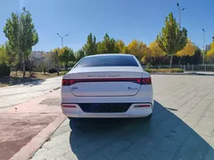 2024 BYD Qin PLUS Honor EV 510km Leading, белый — фото 6