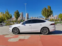 2024 BYD Qin PLUS Honor EV 510km Leading, белый — фото 8