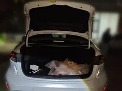 2021 Toyota Levin 185T CVT Sport, белый — фото 20
