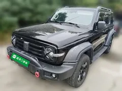 2021 Tank 300 Off-road 2.0T Challenger, чёрный — фото 1