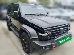 2021 Tank 300 Off-road 2.0T Challenger, чёрный — фото 6