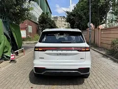 2021 Geely Monjaro 2.0TD DCT EVO 2WD Premium, белый — фото 12