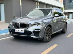 2022 BMW X5 30Li Premium M Sport Package — фото 1