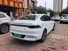2023 BYD Qin PLUS Champion DM-i PHEV 55KM Leading, белый — фото 7