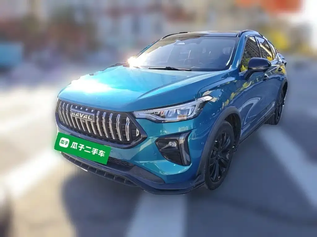 2021 Haval Chitu 1.5T Jiqing Platinum Rabbit