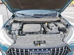 2021 Haval Chitu 1.5T Jiqing Platinum Rabbit, синий — фото 16