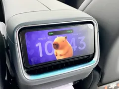 2025 Xiaomi YU7 4WD Max, чёрный — фото 17