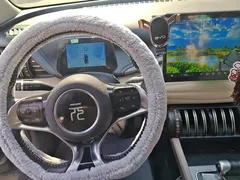 2023 BYD Yuan PLUS Champion 510km Leading — фото 12