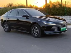 2025 BYD Destroyer 05 DM-i PHEV 55KM, чёрный — фото 3