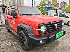 2021 Tank 300 Off-road 2.0T Conqueror — фото 4
