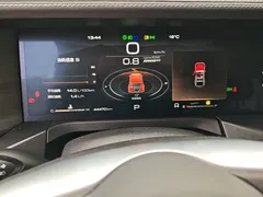 2021 Tank 300 Off-road 2.0T Conqueror — фото 12