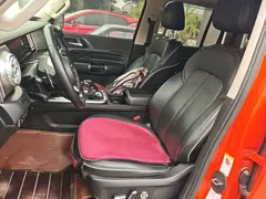 2021 Tank 300 Off-road 2.0T Conqueror — фото 15