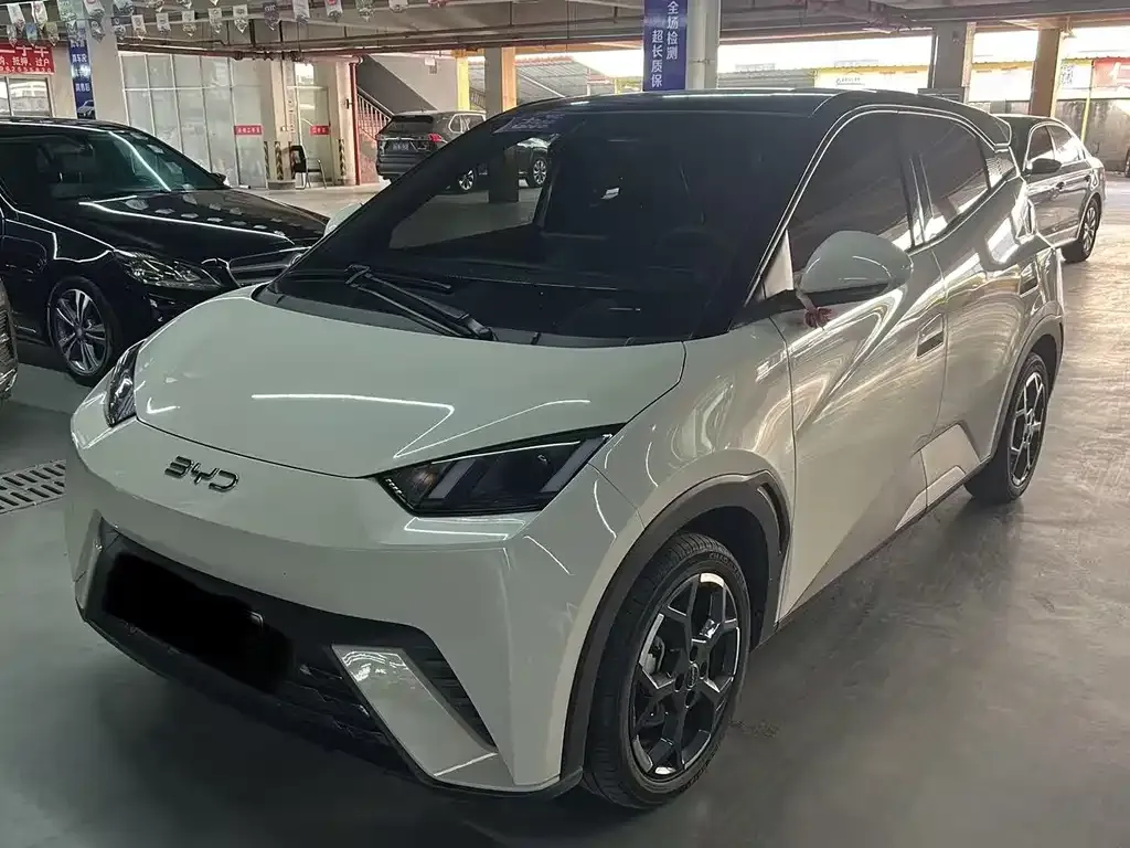 2025 BYD Seagull 305km Freedom