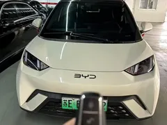 2025 BYD Seagull 305km Freedom — фото 3