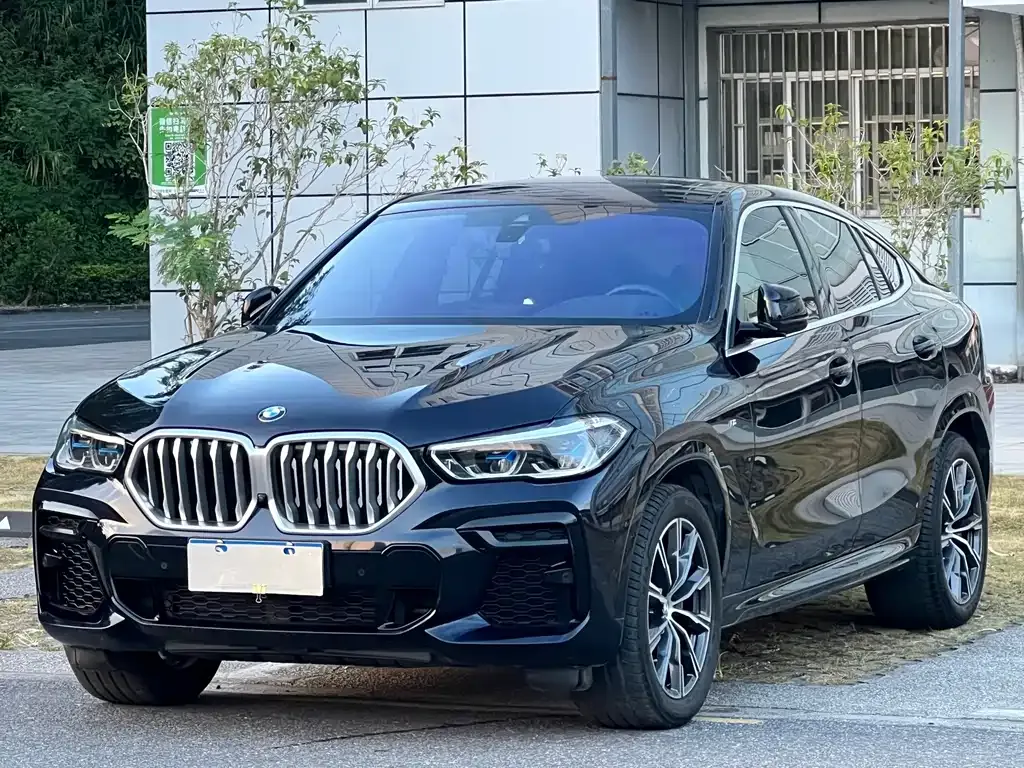 2022 BMW X6