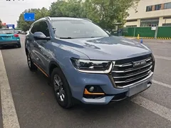 2021 Haval H6 Guochao 2.0GDIT AT Champion — фото 4