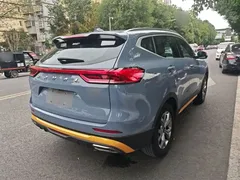 2021 Haval H6 Guochao 2.0GDIT AT Champion — фото 7