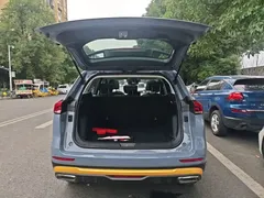 2021 Haval H6 Guochao 2.0GDIT AT Champion — фото 19
