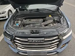 2021 Haval H6 Guochao 2.0GDIT AT Champion — фото 20