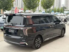 2023 Hongqi HQ9 2.0T Smart Connect Qiyue, чёрный — фото 14