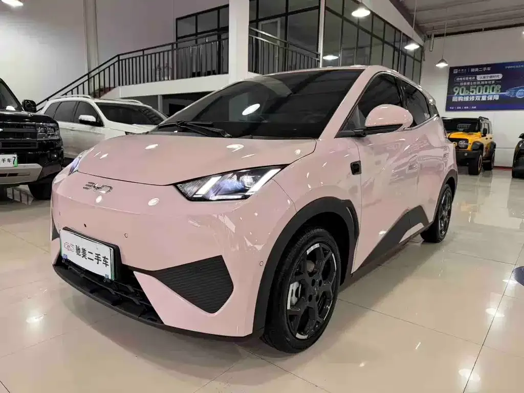 2025 BYD Seagull Smart Driving 305km Freedom