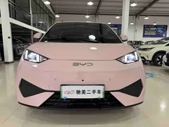 2025 BYD Seagull Smart Driving 305km Freedom — фото 2