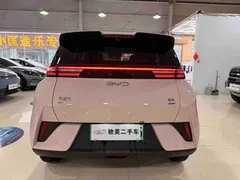 2025 BYD Seagull Smart Driving 305km Freedom — фото 5