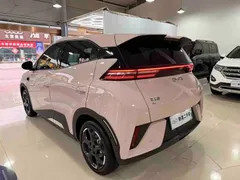 2025 BYD Seagull Smart Driving 305km Freedom — фото 6