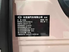 2025 BYD Seagull Smart Driving 305km Freedom — фото 8