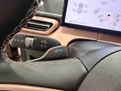 2025 BYD Seagull Smart Driving 305km Freedom — фото 9