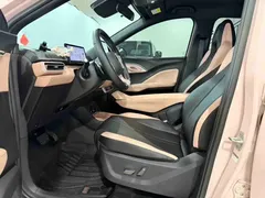 2025 BYD Seagull Smart Driving 305km Freedom — фото 11