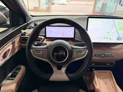 2025 BYD Seagull Smart Driving 305km Freedom — фото 15