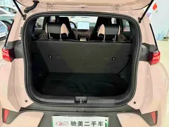 2025 BYD Seagull Smart Driving 305km Freedom — фото 16