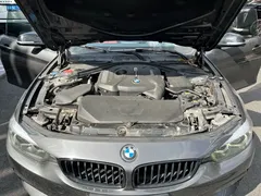 2019 BMW 4 Series 425i Gran Coupe M Sport Dark Edition — фото 21