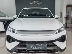 2025 BYD Song Pro 2nd Gen DM-i PHEV 115KM Exceed, белый — фото 11