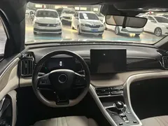 2024 BYD Song Pro Glory Edition DM-i PHEV 110km — фото 12