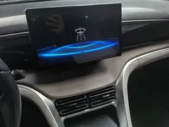 2024 BYD Song Pro Glory Edition DM-i PHEV 110km — фото 13