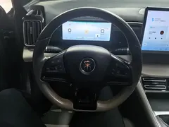 2024 BYD Song Pro Glory Edition DM-i PHEV 110km — фото 15